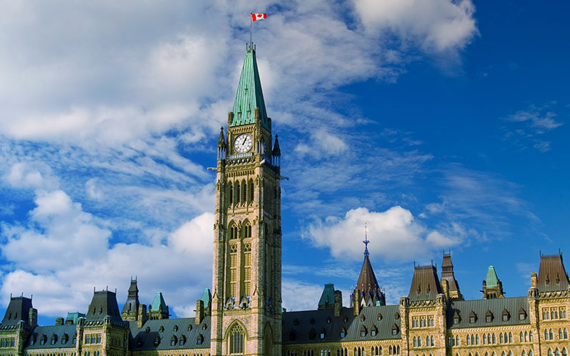 Navigating digital transformation for Canadian public sector organizations